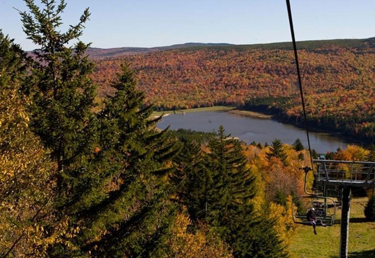 Allegheny Springs スノーシュー エクステリア 写真